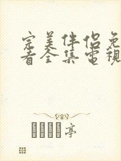 完美伴侣免费观看全集电视剧