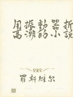 用振动器折磨到高潮的小说封面