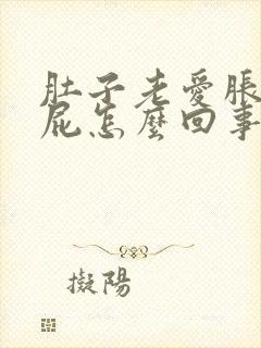 肚子老爱胀气放屁怎么回事