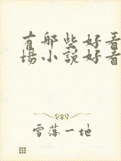 有哪些好看的官场小说好看