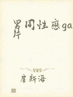 男同性恋gay片