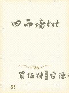 四面墙txt