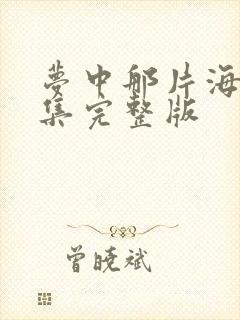 梦中那片海40集完整版封面