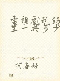 电视剧我的后半生一共多少集封面