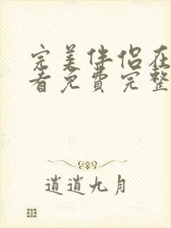 完美伴侣在线观看免费完整观看