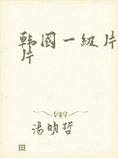 韩国一级片黄色片