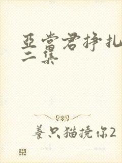 亚当君挣扎吧第二集封面