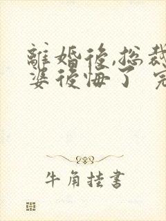 离婚后,总裁老婆后悔了 完结版封面