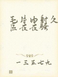 毛片内射久久一区夜夜骚封面