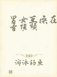 男女互操在线观看视频封面