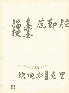 脑基底节腔隙性梗塞