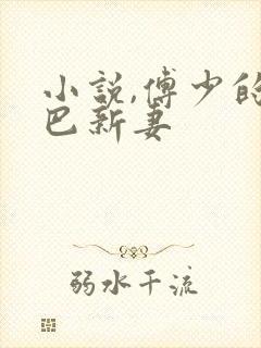 小说,傅少的哑巴新妻封面