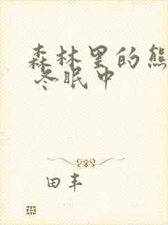 森林里的熊先生 冬眠中