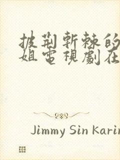 披荆斩棘的大小姐电视剧在线观看免费