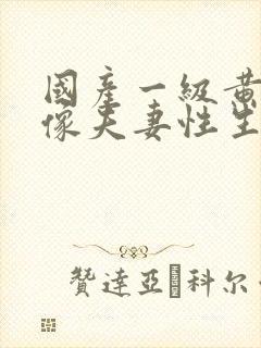 国产一级黄色录像夫妻性生活