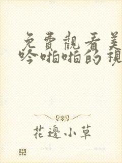 免费观看美女呻吟啪啪的视频