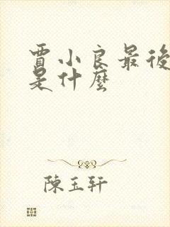 贾小良最后结局是什么