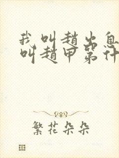 我叫赵出息和我叫赵甲第什么关系封面