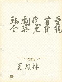 韩剧我有爱人了全集免费观看封面