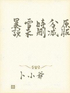 暴雪时分原著小说未删减版