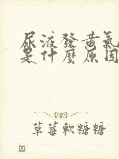 尿液发黄气味大是什么原因