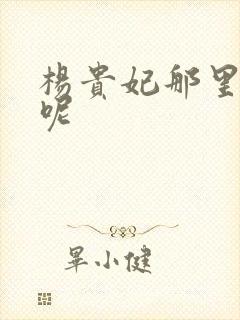 杨贵妃那里的人呢封面