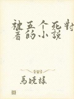 被五个死对头压着的小说