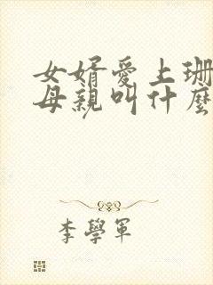 女婿爱上珊珊的母亲叫什么电视剧