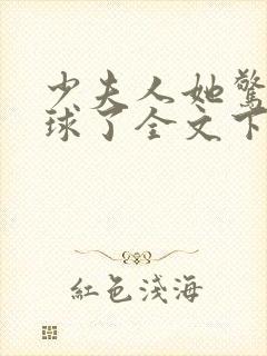 少夫人她惊艳全球了全文下载