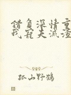 错负深情重生后我宠夫灭渣小说免费阅读