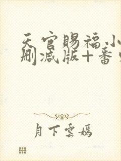 天官赐福小说无删减版+番外