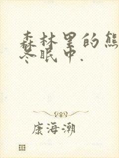 森林里的熊先生冬眠中.