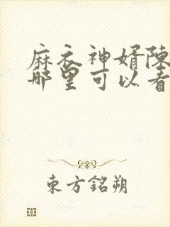 麻衣神婿陈黄皮哪里可以看封面