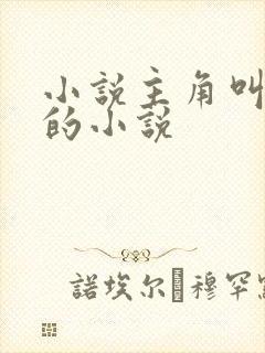 小说主角叫叶辰的小说