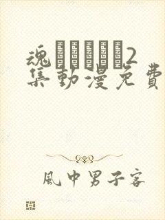 魂インサート2集动漫免费播放