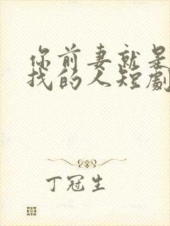 你前妻就是你要找的人短剧