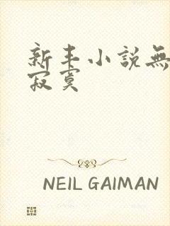 新丰小说无敌真寂寞封面