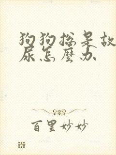 狗狗总是故意乱尿怎么办