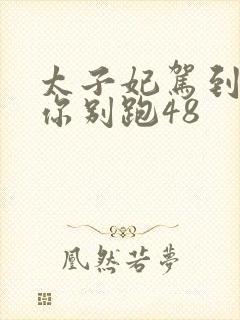 太子妃驾到总裁你别跑48