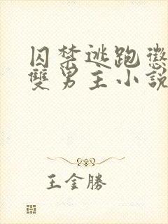 囚禁逃跑惩罚的双男主小说免费观看全文