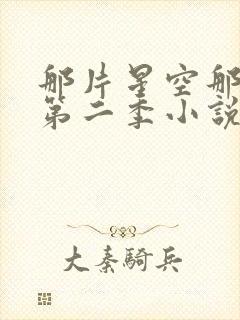 那片星空那片海第二季小说