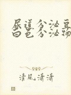 尿道分泌豆腐渣白色分泌物