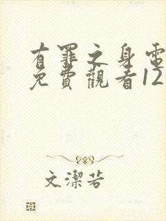 有罪之身电视剧免费观看12集高清