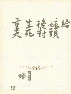 重生后嫁给了前夫死对头封面