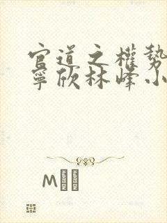 官道之权势滔天宁欣林峰小说免费封面