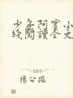 少年阿宾小说在线阅读全文目录