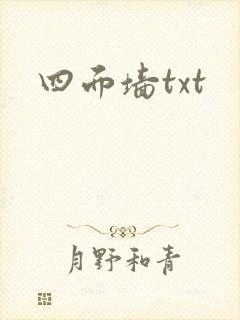 四面墙txt