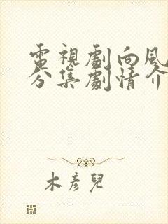 电视剧向风而行分集剧情介绍