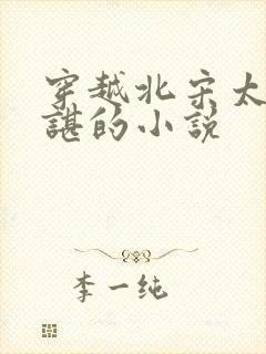 穿越北宋太子赵谌的小说