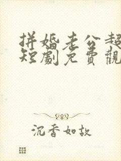 拼婚老公超能力短剧免费观看全集